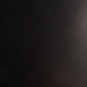 Meet your Posher, Chassity